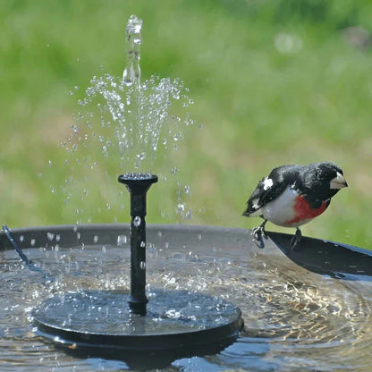 🔥Promotion exceptionnelle-50%⏳Compact Solar Bird Fountain Pump – Keep Your Garden Alive! 🐦️
