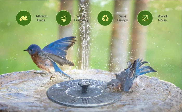🔥Promotion exceptionnelle-50%⏳Compact Solar Bird Fountain Pump – Keep Your Garden Alive! 🐦️